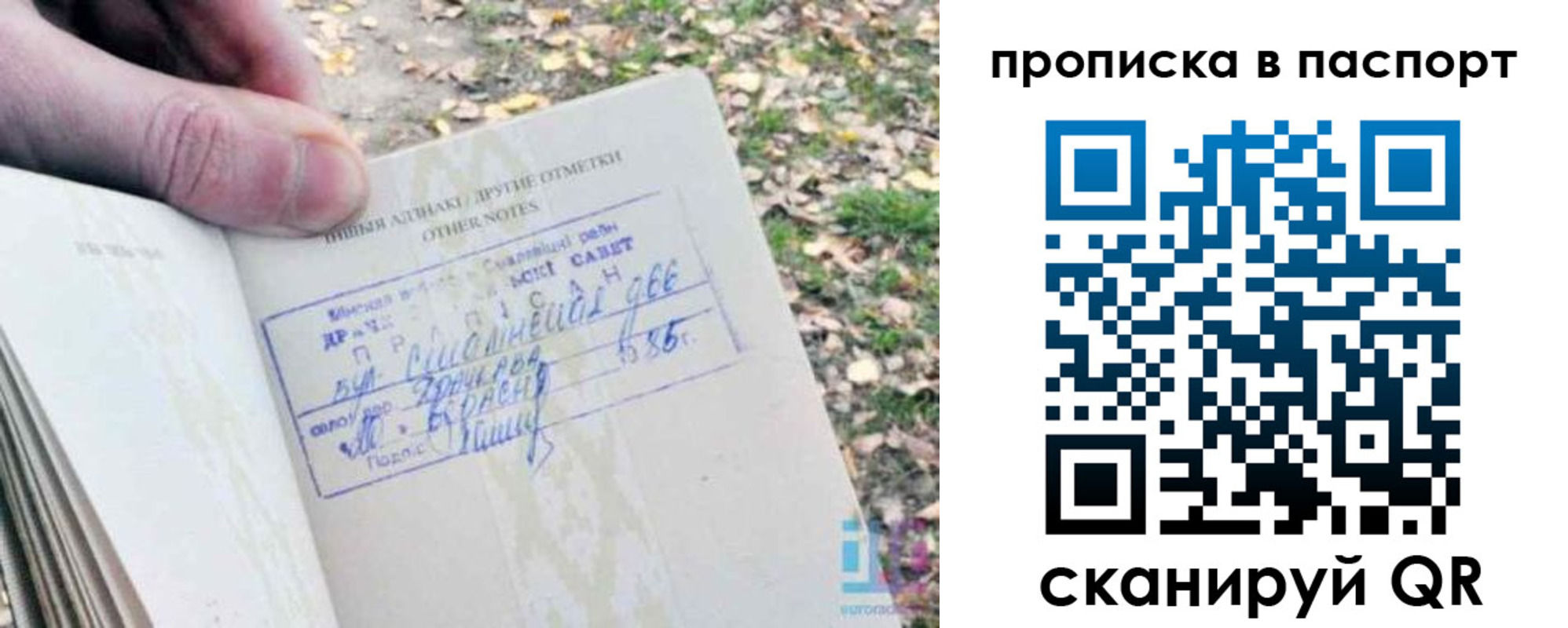 купить прописку в Губкинском